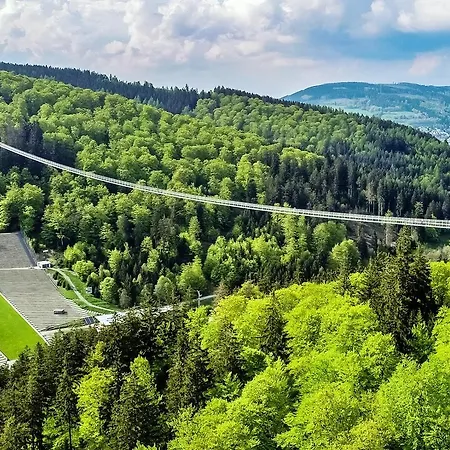 Apartment Stilleben 'da Vinci' - Direkt Im Skigebiet Am Ritzhagen Willingen (Upland)